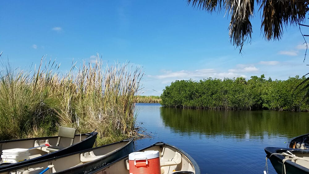 Big Cypress Preserve Paddling, Everglades, Florida Balm