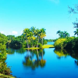 Fairchild Tropical Botanic Garden, Palm Trees by Florida Balm