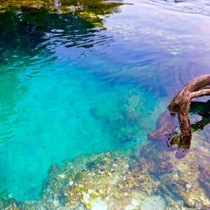 Peacock Springs on the Suwannee River