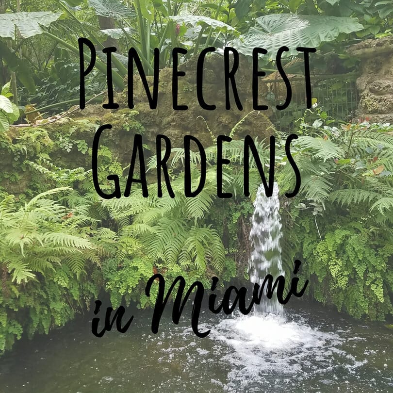 Pinecrest Gardens in Miami Florida, Florida Favorites Blog by Florida Balm