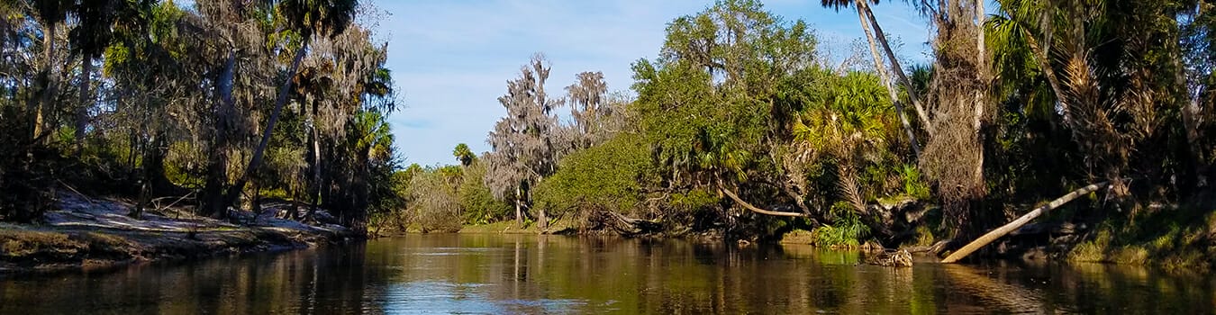 Suwannee River Paddling is a Florida Favorite adventure