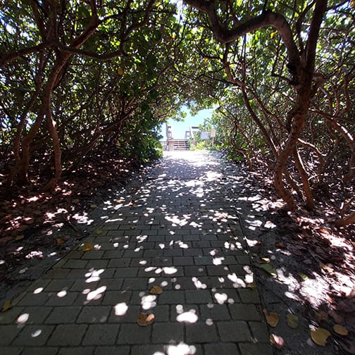 Blowing Rocks Mangrove Trail to beach