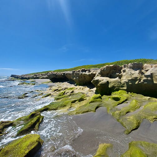 Blowing Rocks Preserve Rocks to the Right