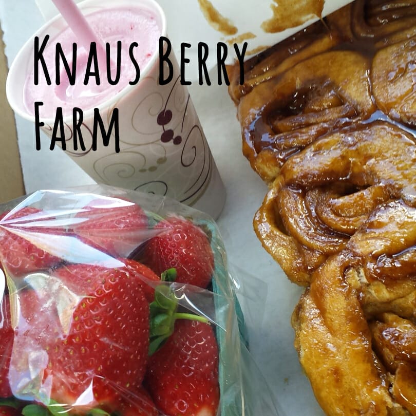 Knaus Berry Farm Cinnamon Rolls Strawberries and Milkshake photo for blog post