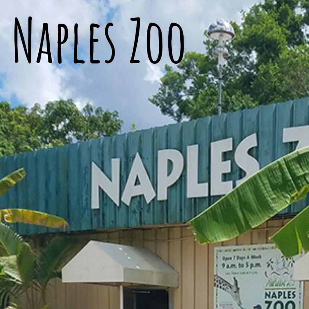 Naples Zoo in Southwest Florida