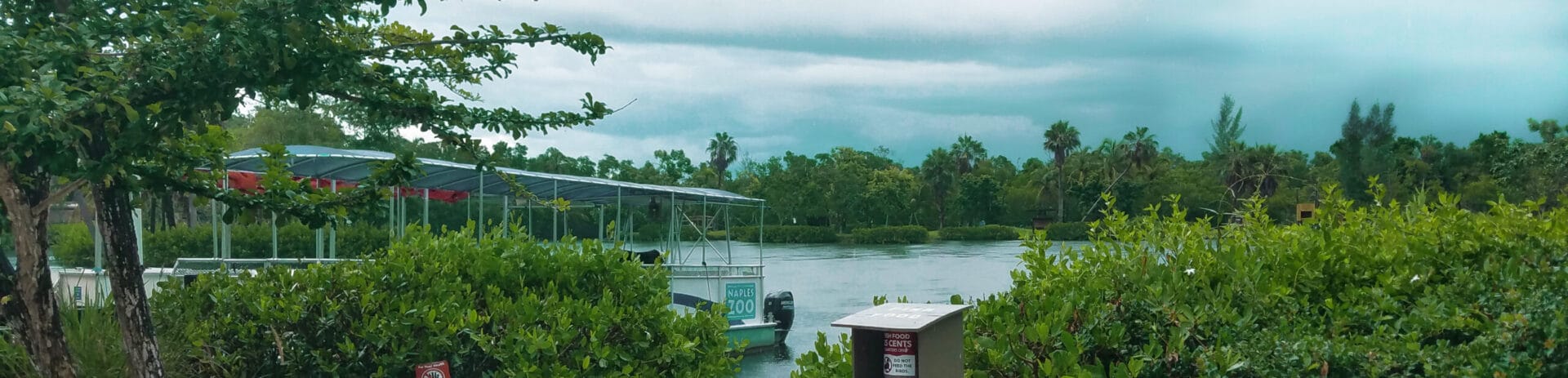 Naples Zoo Primate Cruise on a rainy day