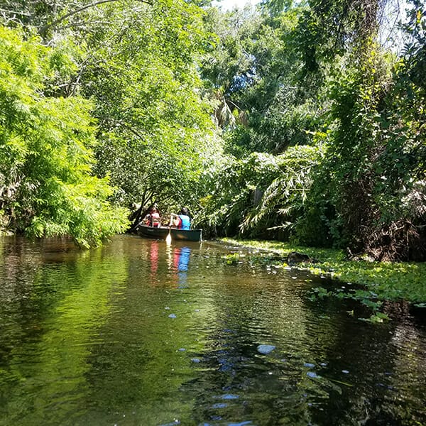 Riverbend Park Jupiter kayaking along the Loxahatchee River