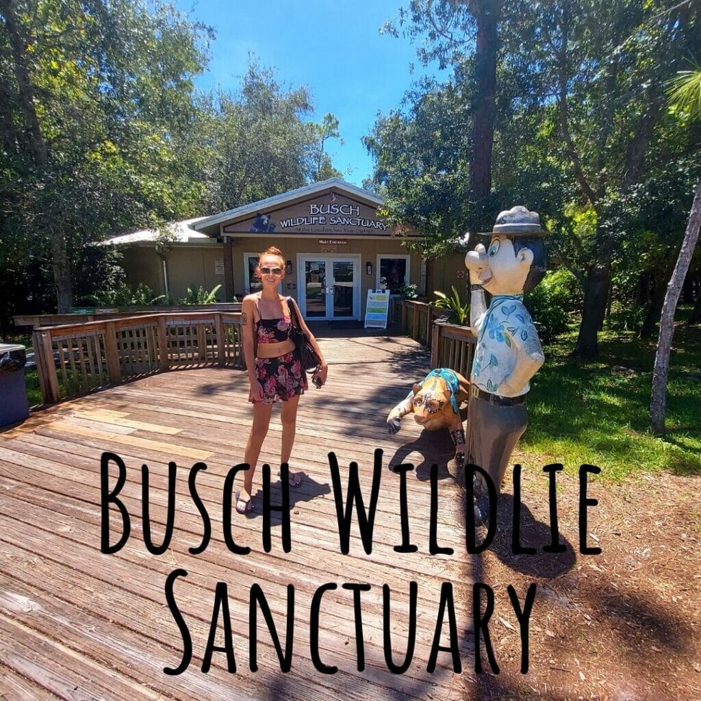 Busch Wildlife Sanctuary in Jupiter Florida