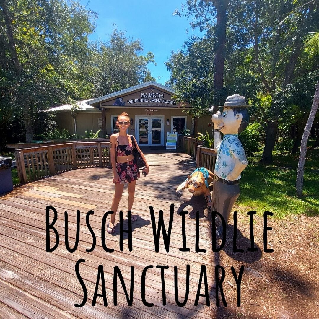 Busch Wildlife Sanctuary in Jupiter Florida