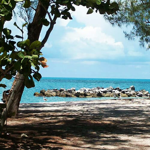 Key West's Best Beach at Fort Zachary Taylor State Park
