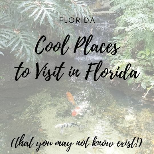 Cool places to visit in Florida