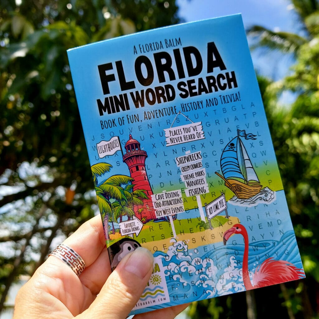 Florida Mini Word Search Book, New on Amazon!