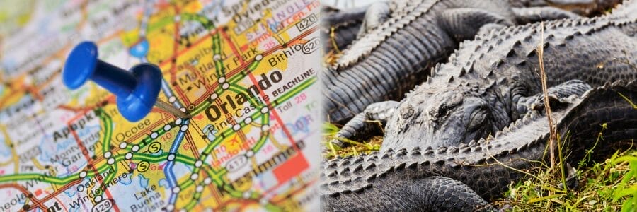 where to see alligators in Orlando Florida wild and fun attractions