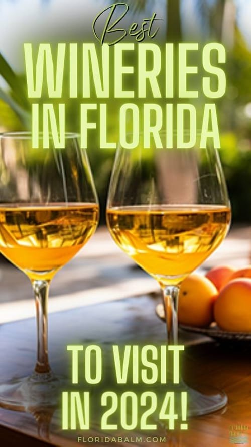 Wineries in Florida to visit in 2024