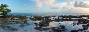 Finding Tide Pools in Florida - Florida Balm