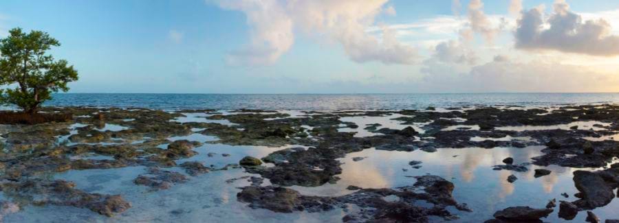 Natural tide pools in Florida