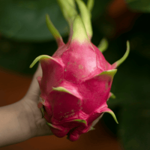 dragon fruit