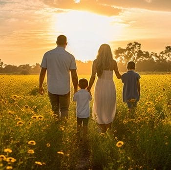 Flower fields in Florida to visit