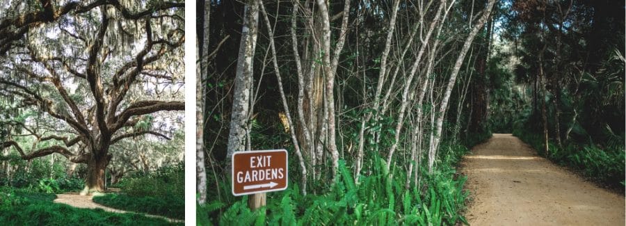 Washington Oaks Gardens State Park of Florida