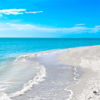 Siesta Key Beach powdery white sand