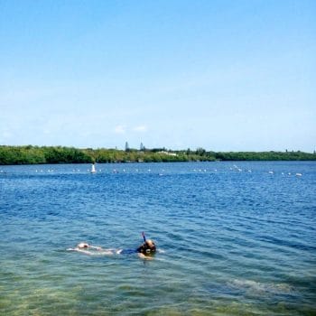 kid friendly activities in Key Largo Florida beach