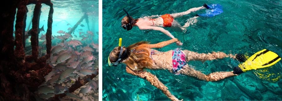 Kid friendly activities in Key Largo Florida snorkeling