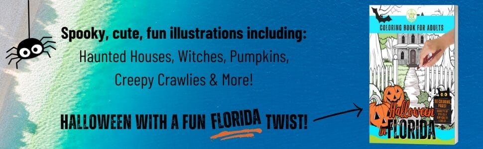 Halloween in Florida Coloring Book for Adults